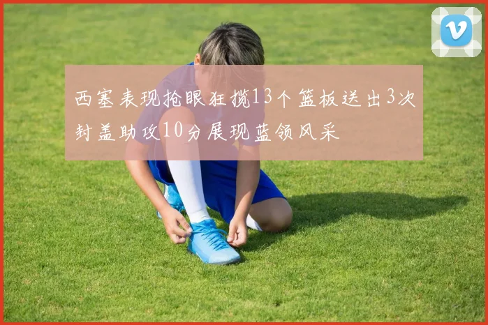 西塞表现抢眼狂揽13个篮板送出3次封盖助攻10分展现蓝领风采