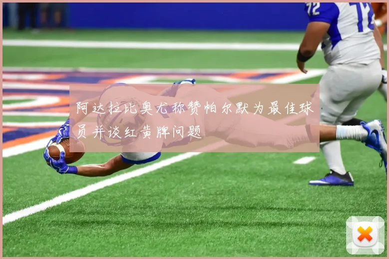 阿达拉比奥尤称赞帕尔默为最佳球员并谈红黄牌问题