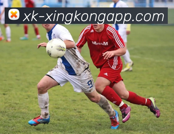 App Interface Preview